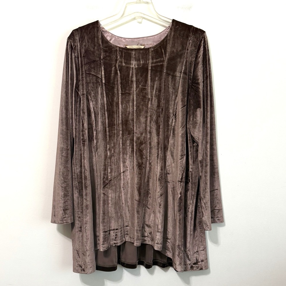 Soft Surroundings Bella Rosa Velvet Velour Tunic Top 2x? Soft Brown Party Boho